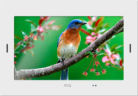 Стильный дизайн